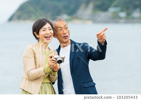 Senior couple on a sightseeing trip 103205433
