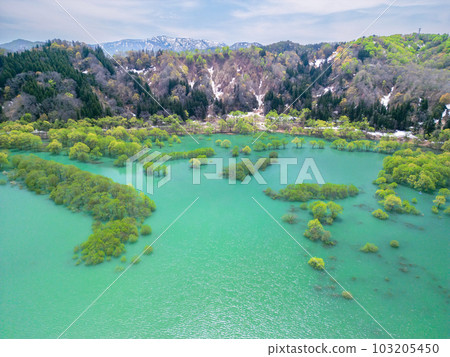 “山形縣”用無人機航拍白川湖淹沒森林 “山形縣”用無人機航拍白川湖淹沒森林 103205450