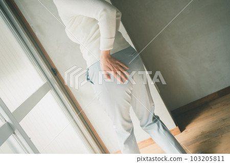 female, lady, woman 103205811