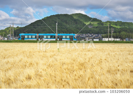 小麥秋季 LRV 103206050