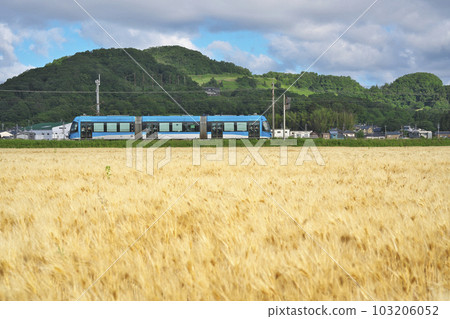 Wheat Autumn LRV Wheat Autumn LRV 103206052