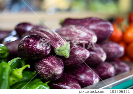 Fresh purple striped eggplants stacked on counter in store Fresh purple striped eggplants stacked on counter in store 103206351