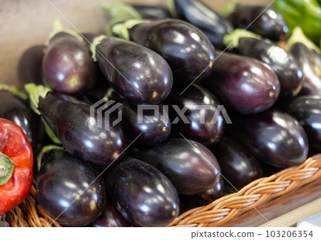 Fresh purple eggplants stacked on counter in grocery store Fresh purple eggplants stacked on counter in grocery store 103206354