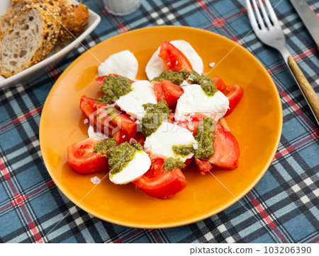 Traditional snack of Italian cuisine is Caprese with basil and Pesto sauce closeup Traditional snack of Italian cuisine is Caprese with basil and Pesto sauce closeup 103206390