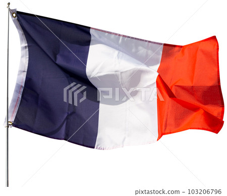 National French tricolour waving on flagpole National French tricolour waving on flagpole 103206796