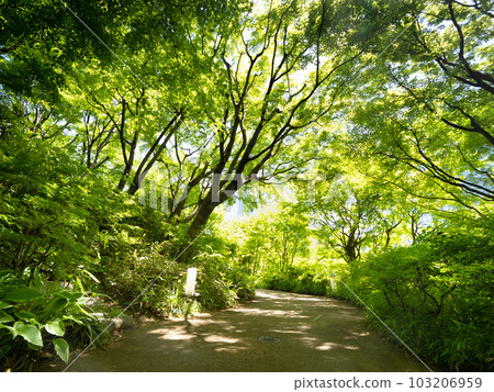 東京六本木 Hills Mohri 花園，綠意盎然 103206959