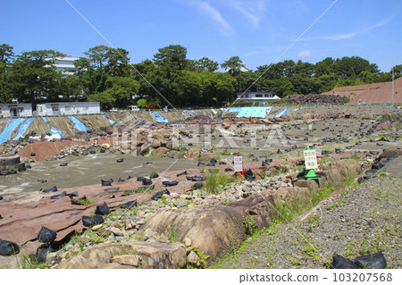 Excavation survey 103207568