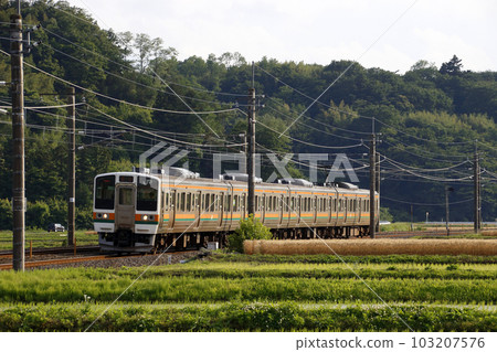 Shinetsu Main Line 211 series (Takasaki ⇔ Yokokawa) going through the countryside Shinetsu Main Line 211 series (Takasaki ⇔ Yokokawa) going through the countryside 103207576