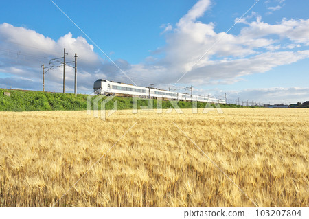 大麥秋天的特快列車 大麥秋天的特快列車 103207804
