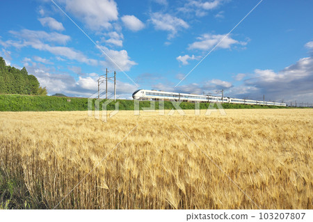 大麥秋天的特快列車 103207807