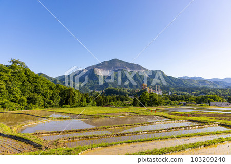 Rice planting in Terasaka terraced rice field 103209240