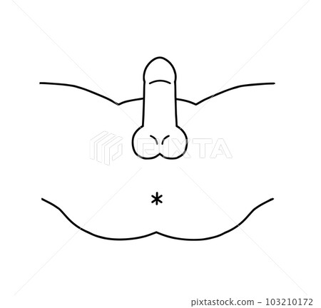 男性生殖器官線描插圖 男性生殖器官線描插圖 103210172