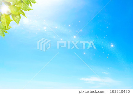 The sunlight filtering through the fresh green leaves and the sparkling blue sky The sunlight filtering through the fresh green leaves and the sparkling blue sky 103210450