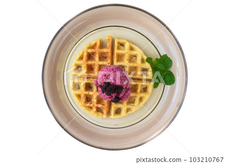 Hibiscus organic ice cream with waffle on plate isolated on white background top view 103210767