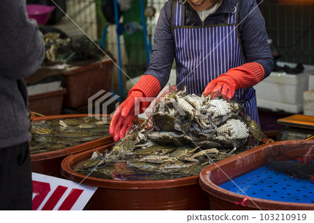 Landscape of Sorae Port Fisheries Market in Korea Landscape of Sorae Port Fisheries Market in Korea 103210919