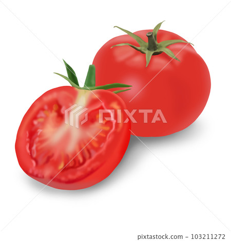 蕃茄 蕃茄 103211272