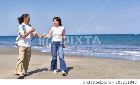 Middle senior couple walking hand in hand on the beach 103211846