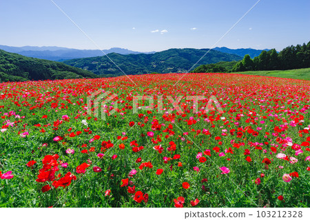 The sky of the sky The sky of the sky 103212328