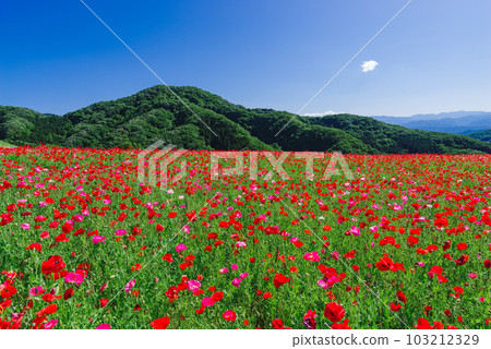 The sky of the sky 103212329