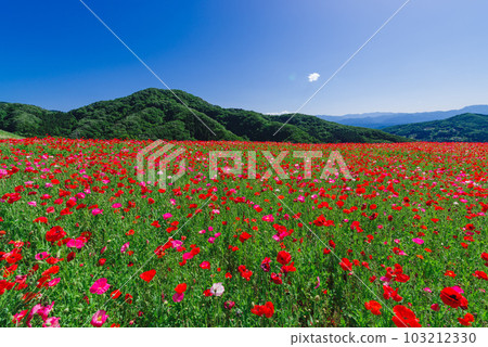 The sky of the sky The sky of the sky 103212330