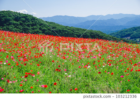 天空的天空 103212336