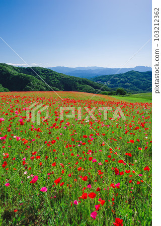 天空的天空 103212362