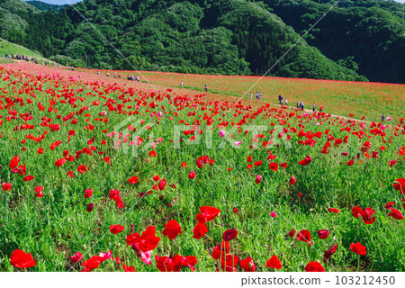 天空的天空 103212450