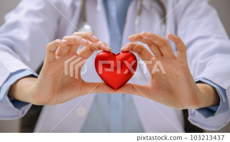 Heart shaped hand of doctor or physician holding red heart. The concept of heart health care by a medical professional. Heart shaped hand of doctor or physician holding red heart. The concept of heart health care by a medical professional. 103213437