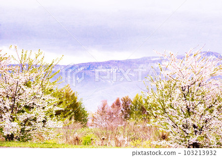 札幌新川櫻花雪山 103213932