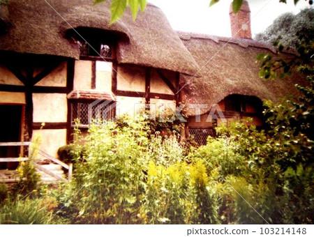 House of Anne Hathaway (Shakespeare's wife) 103214148