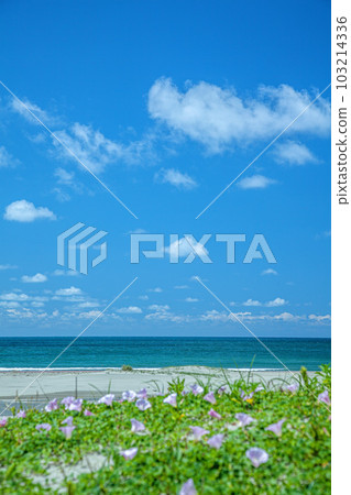 西濱海灘 103214336