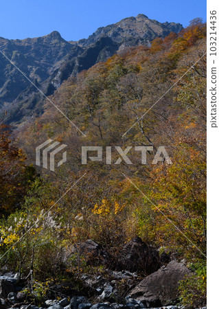 Autumn leaves of Machigasawa on Mt. Tanigawa 103214436