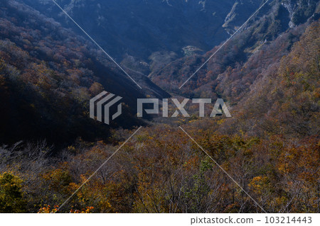 谷川山町笠的紅葉 103214443