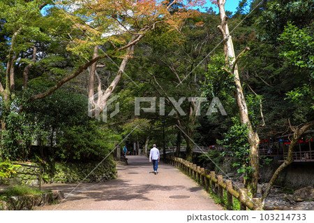 Walk along the promenade of Minoh Park Walk along the promenade of Minoh Park 103214733