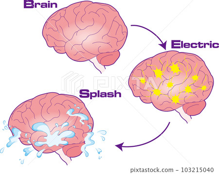 How dopamine is released when the brain is stimulated 103215040