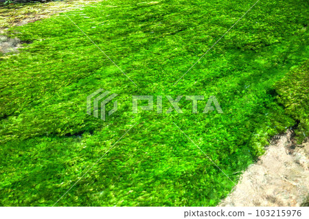 Ushidogawa Ushidogawa 103215976