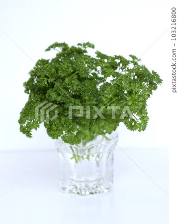 碗裡的新鮮歐芹,歐芹葉 碗裡的新鮮歐芹,歐芹葉 103216800