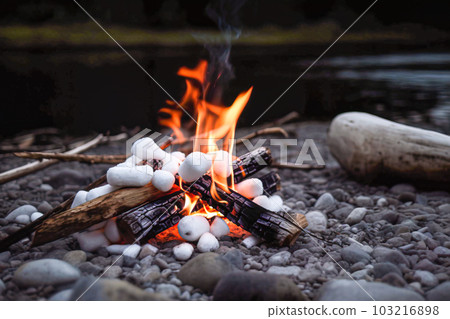 Bonfire with marshmallows on the beach in the evening. Generative AI 103216898