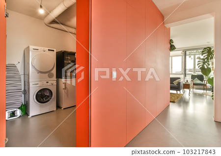 a laundry room with a washer, dryer and washing machine in the fore - image taken from inside a laundry room with a washer, dryer and washing machine in the fore - image taken from inside 103217843