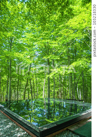 空中神社 103218330