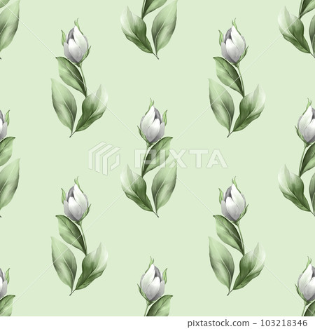 Seamless pattern with white tulips on green. Floral background with hand drawn flowers. 103218346