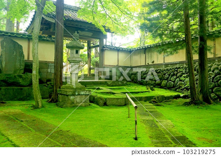 苔蘚禪寺，Teishoji 103219275