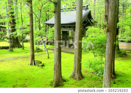 苔蘚禪寺,Teishoji 苔蘚禪寺,Teishoji 103219283
