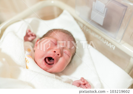 Baby just born Baby just born 103219602