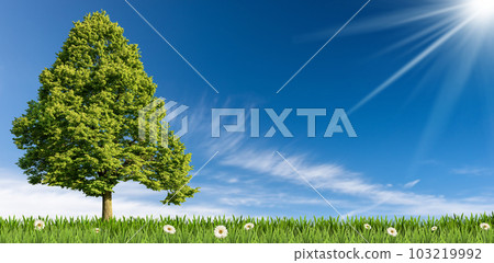 Solitary Green Tree on a Meadow Against a Blue Sky with Clouds and Sunbeams Solitary Green Tree on a Meadow Against a Blue Sky with Clouds and Sunbeams 103219992