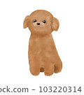棕色玩具貴賓犬的插圖 103220314