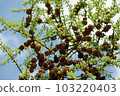Spring collection 2023 001 103220403