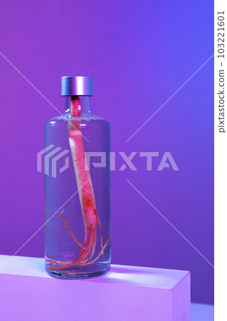 Korean Asian traditional infused liquor, wine, alcohol Korean Asian traditional infused liquor, wine, alcohol 103221601