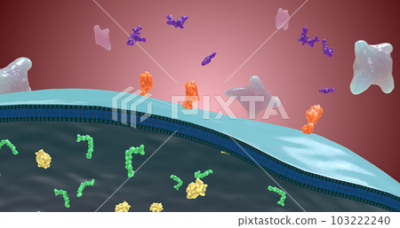 Platelet activation and aggregation play an important role in occlusive vascular events 103222240