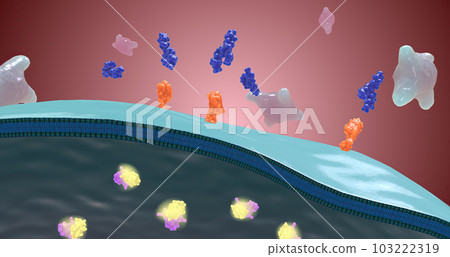 Platelet activation and aggregation play an important role in occlusive vascular events 103222319